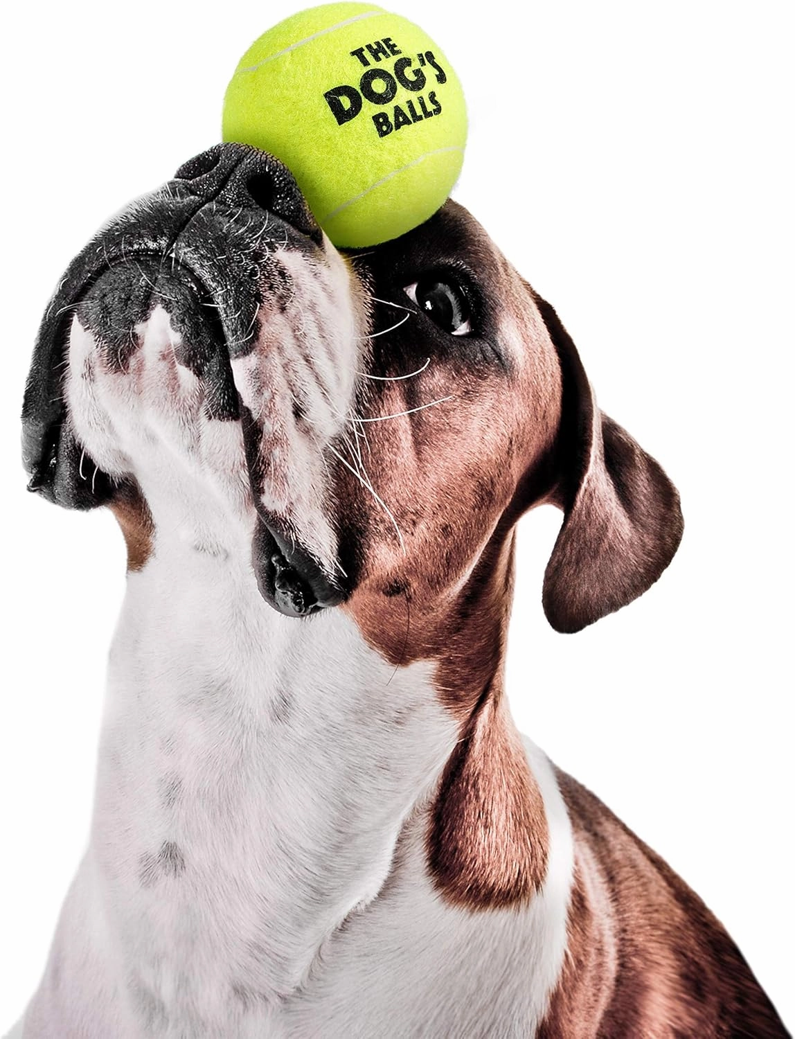 The Dog's Balls, Dog Tennis Balls, 12-Pack Yellow, 2.5 Inches Diameter Dog Toy, Strong Dog & Puppy Ball for Training, Play, Exercise & Fetch