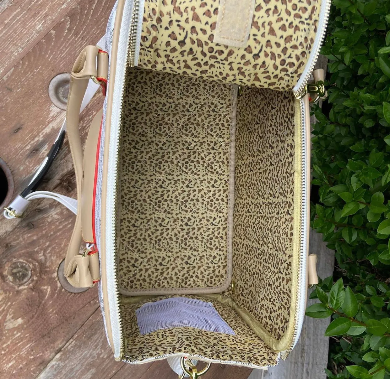 Tinker bell Carrier