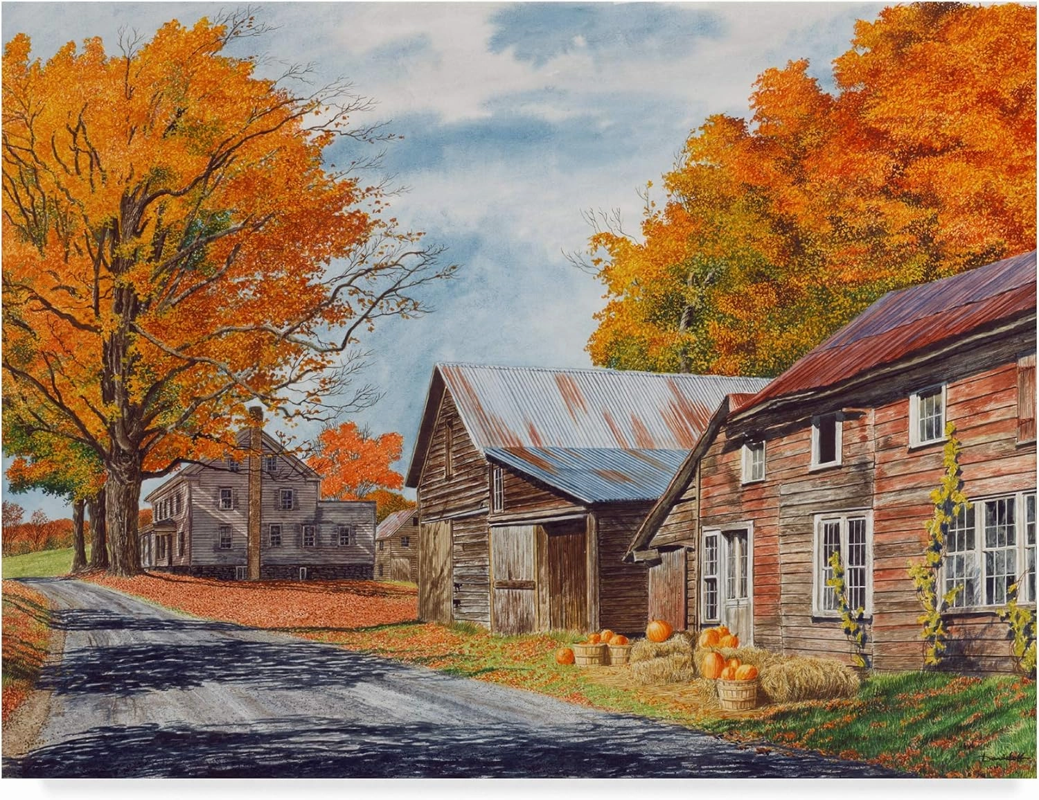 Trademark Fine Art, 35x47-Inch October Country Drive by Michael Davidoff