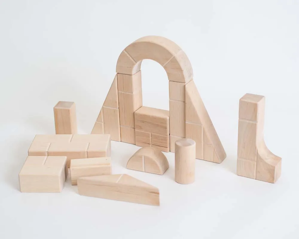 UNIT BRICKS 58 pcs Mini Unit Bricks Wooden Building Set for age 3 