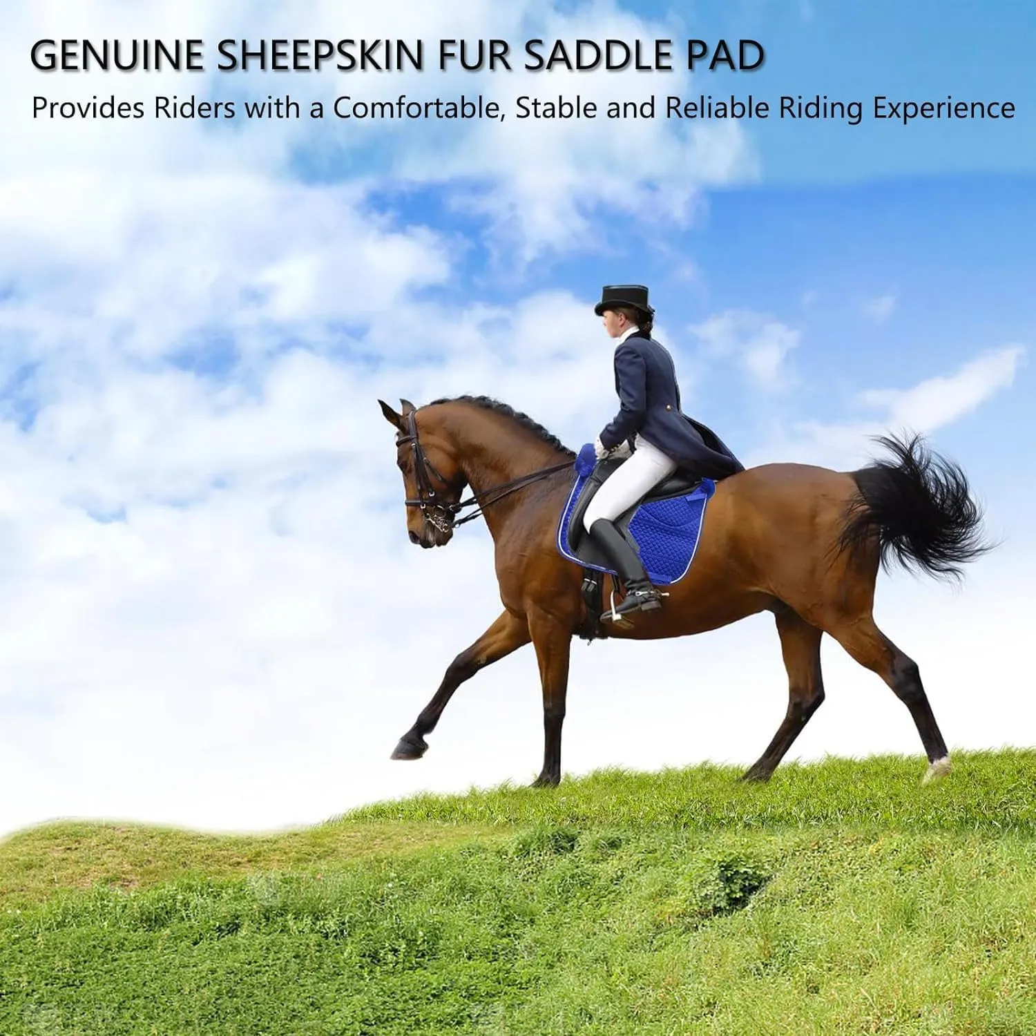 Woolous Dressage Saddle Pad – Square English Saddle Pad with Cotton Lining & Sheepskin Trim for Equestrian Riding