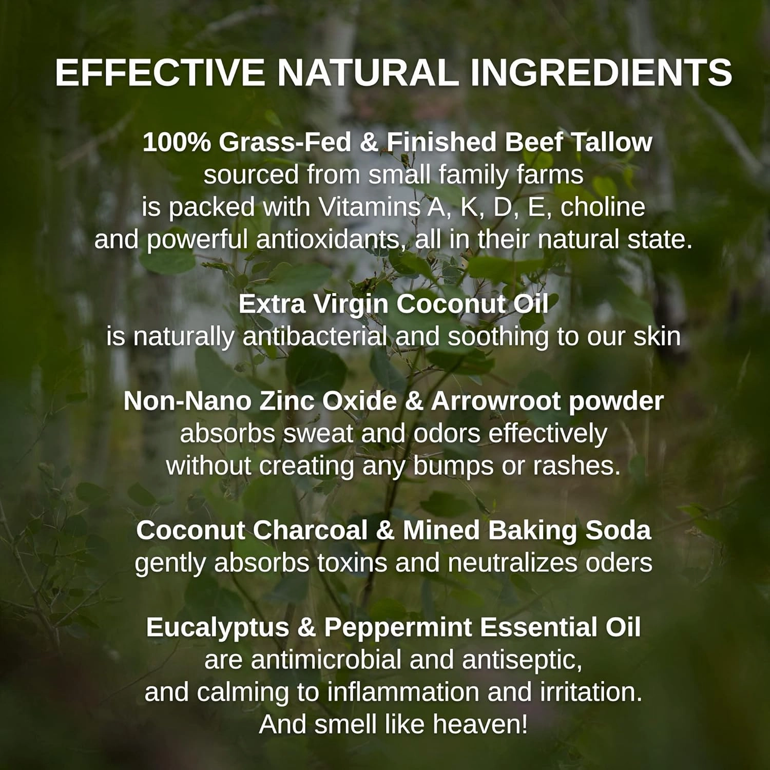 Zinc & Charcoal Deodorant – A True Natural, Tallow-Based & Effective Deodorant for Men & Women –– Aluminum Free with Coconut & Arrowroot – Lasts 4X Longer (Eucalyptus   Peppermint, 2.5 oz)